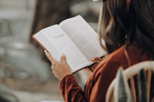 Read the Bible in 90 Days