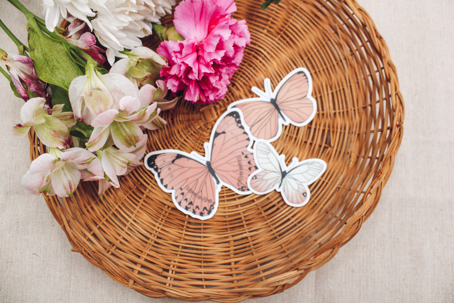 2 Corinthians 5:17 Butterfly Sticker Pack (3 Stickers)