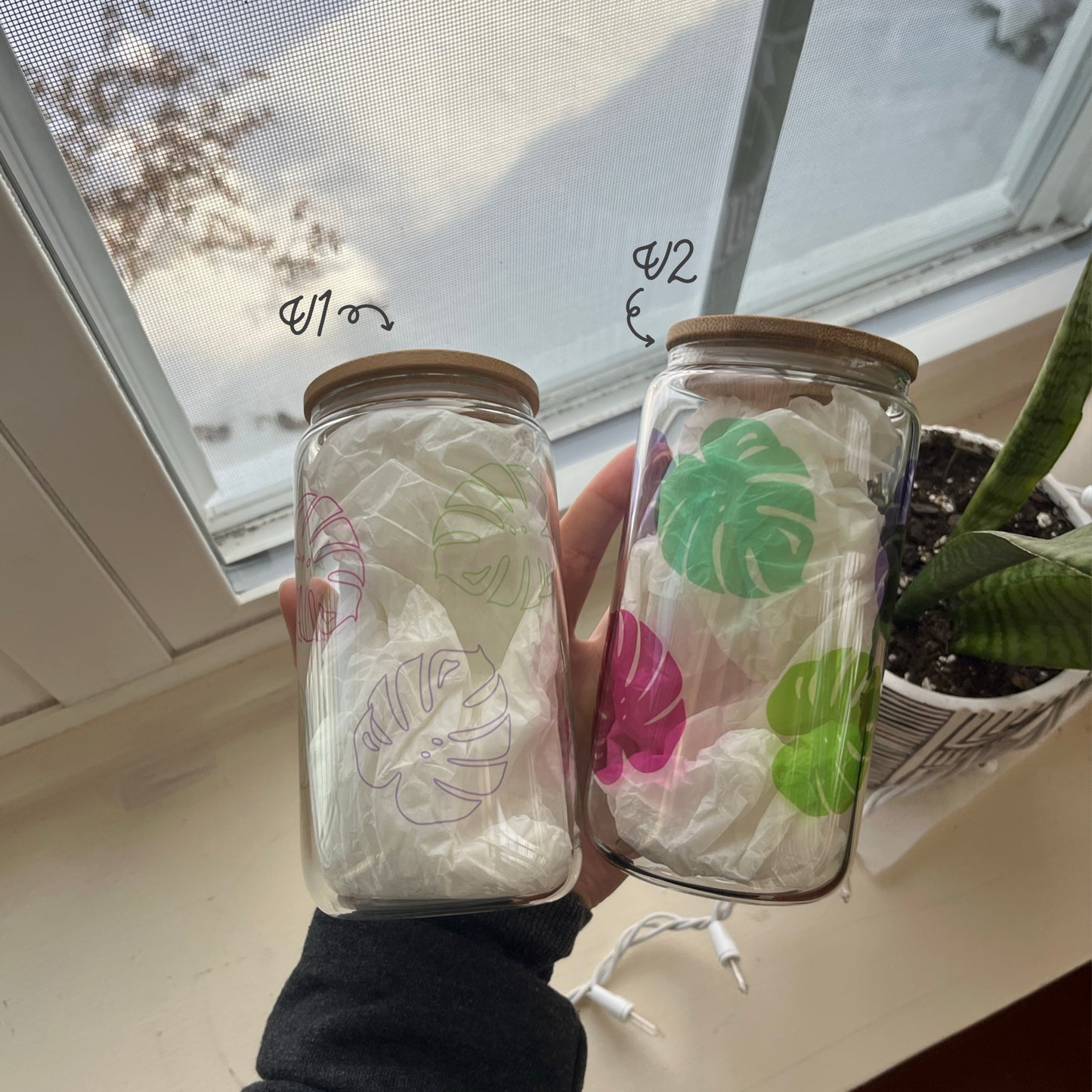 Monstera Colorful Clear Glass Can (16 Ounce)