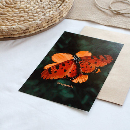 Butterfly Glossy 5” x 7” Art Print