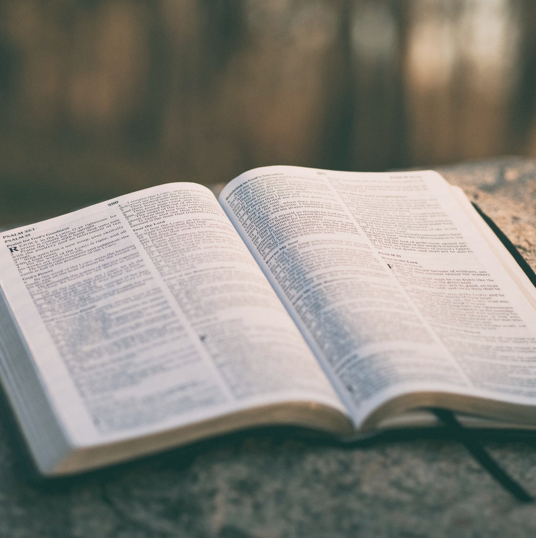 4 Essentials to My Devotions & How You Can Better Study the Word
