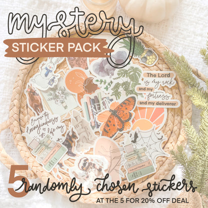 Mystery Sticker Pack, 5 Randomly Chosen 3" Vinyl Stickers